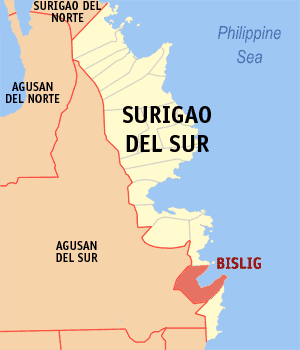 Map of Surigao del Sur showing the location of Bislig City