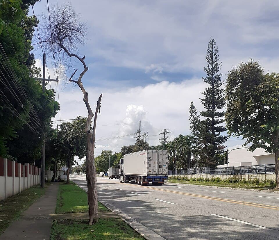 A container truck on Excellence Avenue inside Carmelray Industrial Park 1 in Canlubang, Laguna, an operating industrial estate shown here as an example of what an economic zone looks like