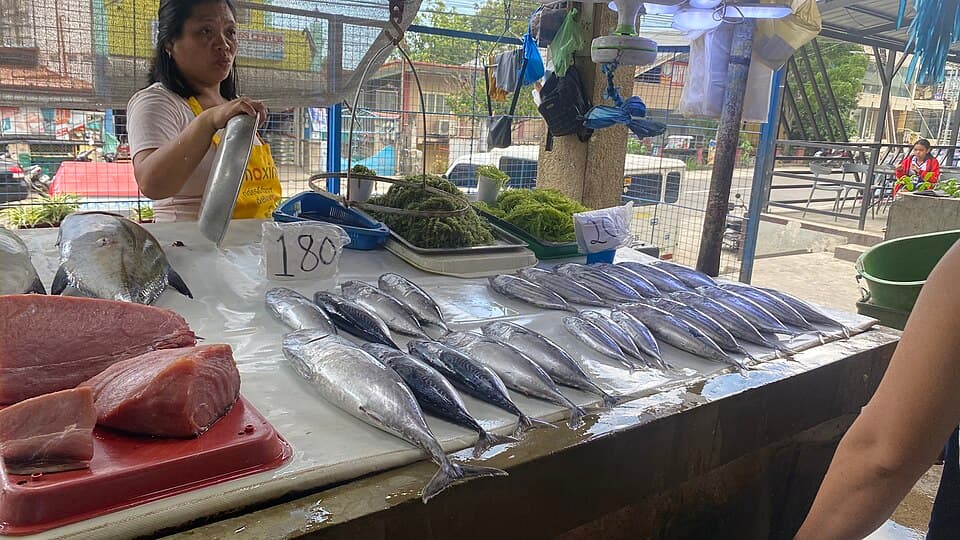 A vendor tends a fish stall with rows of fresh fish, tuna slices and seaweed at the public market of Valencia, Negros Oriental, shown as a representative example of a Philippine public market wet section