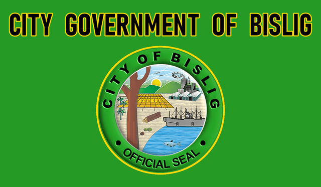 Flag of Bislig City, Surigao del Sur