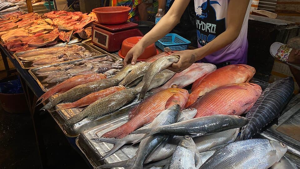 A vendor handling fresh fish, including red snapper, groupers and milkfish, laid out on steel trays at a stall in the Iloilo Fish Port Complex, a PFDA fish port in the Visayas