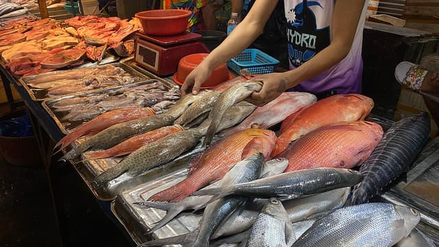 A vendor handling fresh fish, including red snapper, groupers and milkfish, laid out on steel trays at a stall in the Iloilo Fish Port Complex, a PFDA fish port in the Visayas